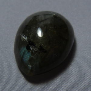 �V�R�΁E���u���g���C�g