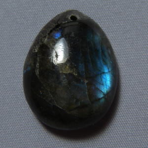 �V�R�΁E���u���g���C�g