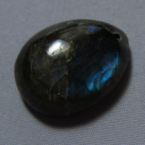 �V�R�΁E���u���g���C�g