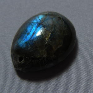 �V�R�΁E���u���g���C�g