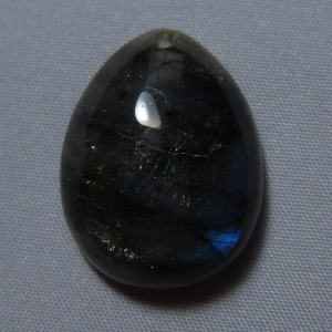 �V�R�΁E���u���g���C�g