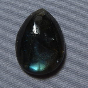 �V�R�΁E���u���g���C�g