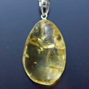 �V�R��,�y���_���g,���K�[��