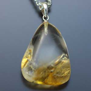 �V�R��,�y���_���g,���K�[��