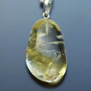 �V�R��,�y���_���g,���K�[��