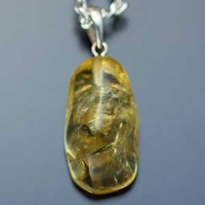 �V�R��,�y���_���g,���K�[��