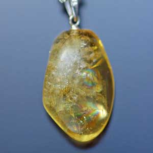 �V�R��,�y���_���g,���K�[��