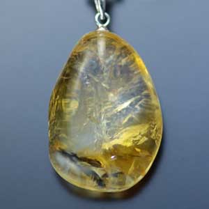 �V�R��,�y���_���g,���K�[��