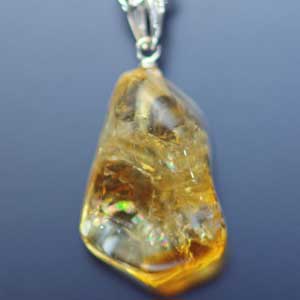 �V�R��,�y���_���g,���K�[��