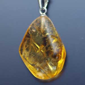 �V�R��,�y���_���g,���K�[��