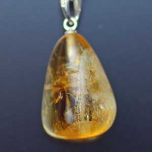 �V�R��,�y���_���g,���K�[��