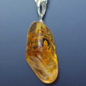 �V�R��,�y���_���g,���K�[��