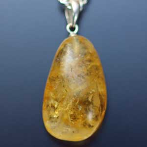 �V�R��,�y���_���g,���K�[��