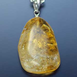 �V�R��,�y���_���g,���K�[��