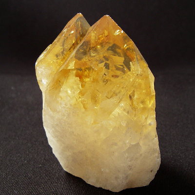 �V�R��,����,�V�g����,���K�[��