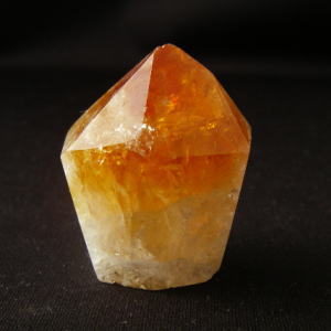 �V�R��,����,�V�g����,���K�[��