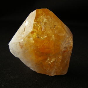 �V�R��,����,�V�g����,���K�[��