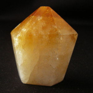 �V�R��,����,�V�g����,���K�[��