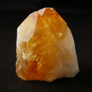 �V�R��,����,�V�g����,���K�[��