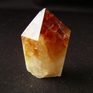 �V�R��,����,�V�g����,���K�[��