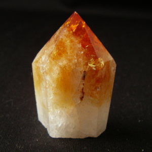 �V�R��,����,�V�g����,���K�[��