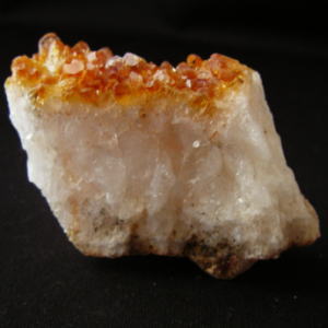 �V�R��,����,�V�g����,���K�[��