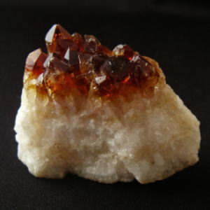 �V�R��,����,�V�g����,���K�[��