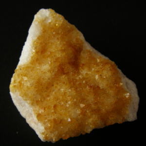 �V�R��,����,�V�g����,���K�[��