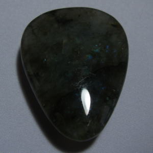 �V�R�΁E���u���g���C�g