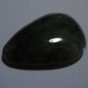 �V�R�΁E���u���g���C�g