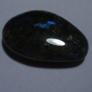 �V�R�΁E���u���g���C�g