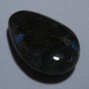 �V�R�΁E���u���g���C�g