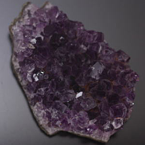 �V�R��,����,�A���W�X�g,������,���K�[��