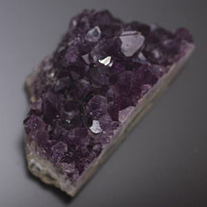 �V�R��,����,�A���W�X�g,������,���K�[��