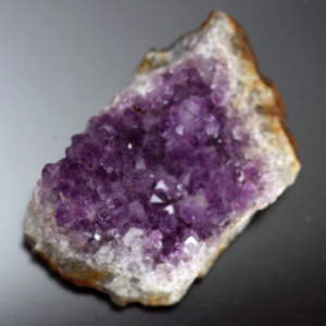 �V�R��,����,�A���W�X�g,������,���K�[��