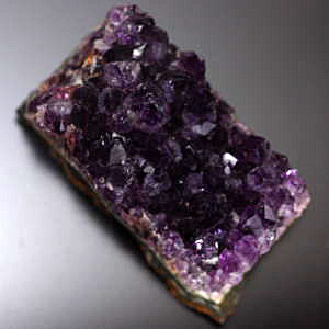 �V�R��,����,�A���W�X�g,������,���K�[��