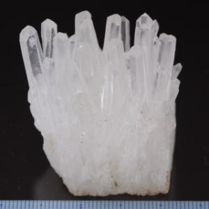 �V�R��,����,����,�N���X�^�[,���K�[��