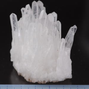 �V�R��,����,����,�N���X�^�[,���K�[��