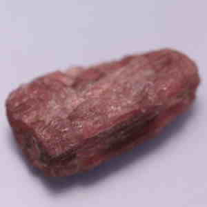 �V�R��,����,�g���}����,���K�[��