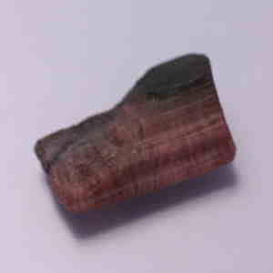 �V�R��,����,�g���}����,���K�[��