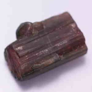 �V�R��,����,�g���}����,���K�[��