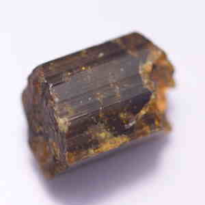 �V�R��,����,�g���}����,���K�[��