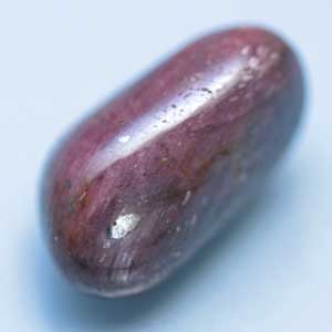 �V�R��,���r�[,����,���K�[��