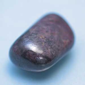 �V�R��,���r�[,����,���K�[��