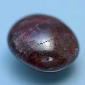 �V�R��,���r�[,����,���K�[��