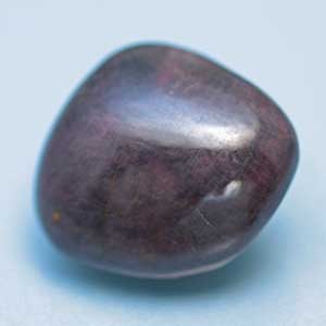 �V�R��,���r�[,����,���K�[��