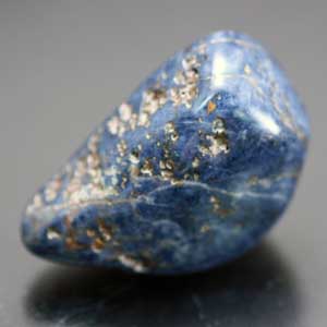 �V�R��,�T�t�@�C�A,����,���K�[��