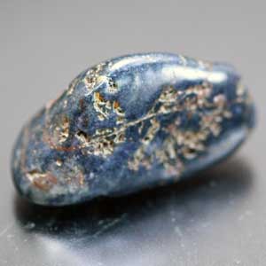 �V�R��,�T�t�@�C�A,����,���K�[��