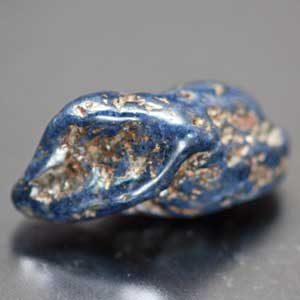 �V�R��,�T�t�@�C�A,����,���K�[��