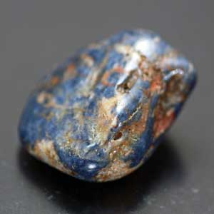 �V�R��,�T�t�@�C�A,����,���K�[��